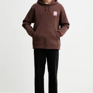 adidas Originals bluza Graphic męska kolor brązowy z kapturem z aplikacją JX3095