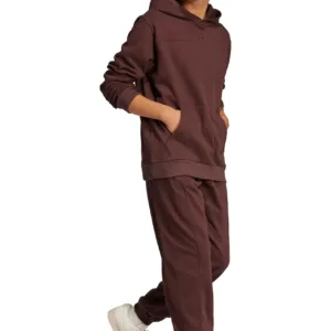 adidas Originals bluza Premium Loved Hoodie męska kolor brązowy z kapturem gładka JC8351